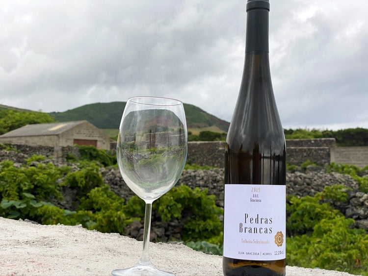 Portugiesischer Weißwein Pedras Brancas Colheita Selecionada