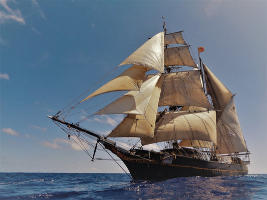 Tres Hombres Rum Ed. 72 Dominican Republic 15 yr.